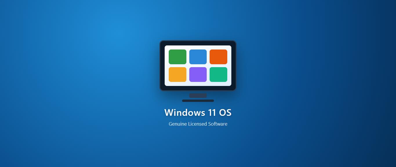Software installation and setup on a laptop by BLU TECH